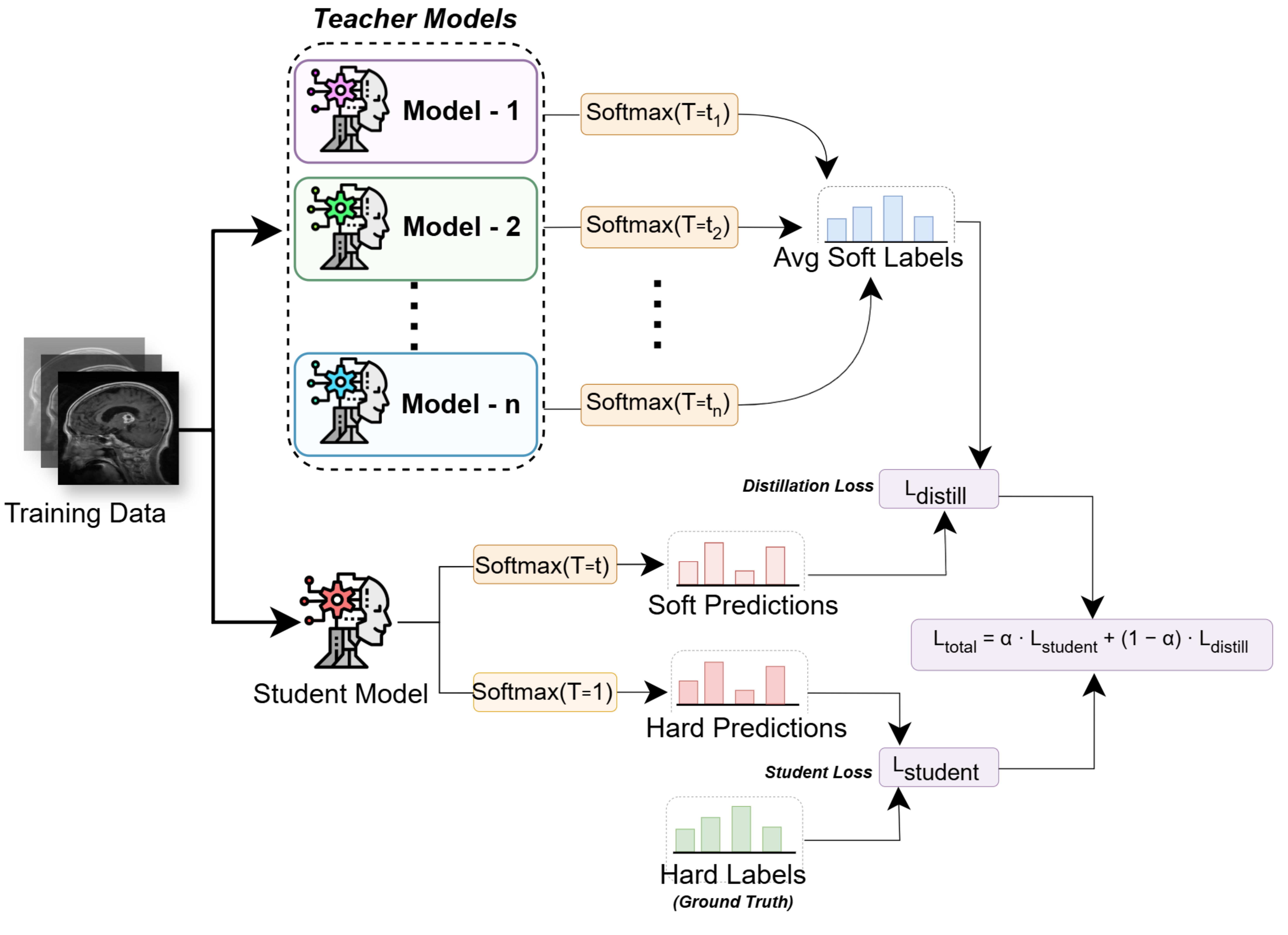 Method diagram for J.1 — Multi-Teacher Knowledge Distillation for Brain Tumor Classification